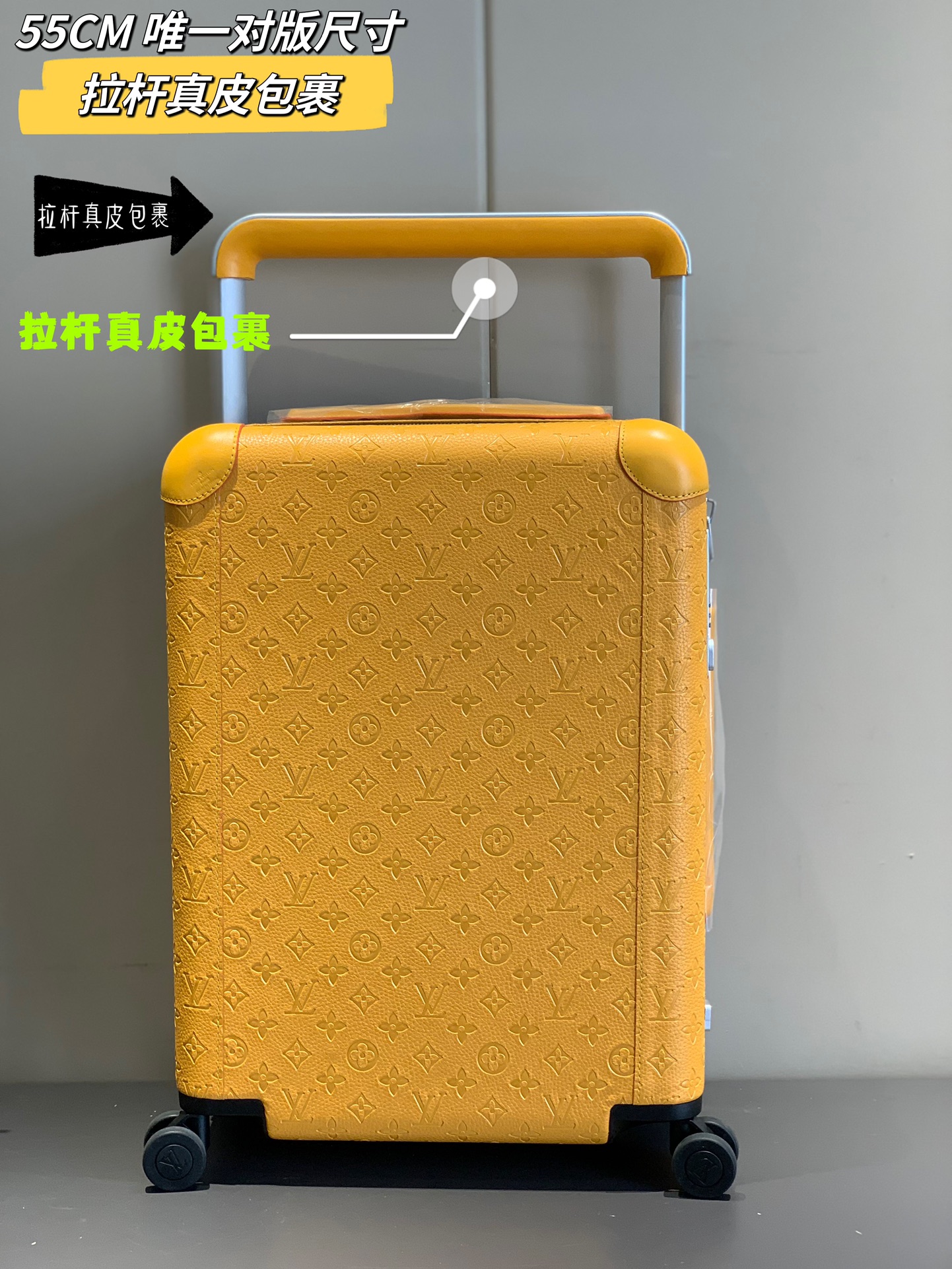 LV Suitcase